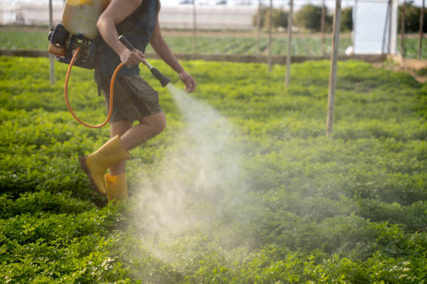Best Pest Control Cost  in Jessup, PA
