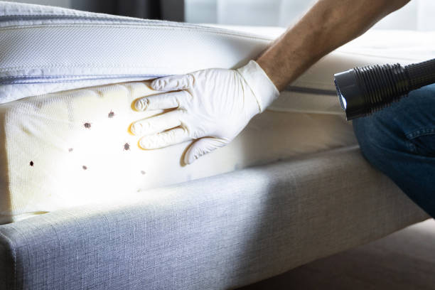 Best Pest Control Near Me  in Jessup, PA